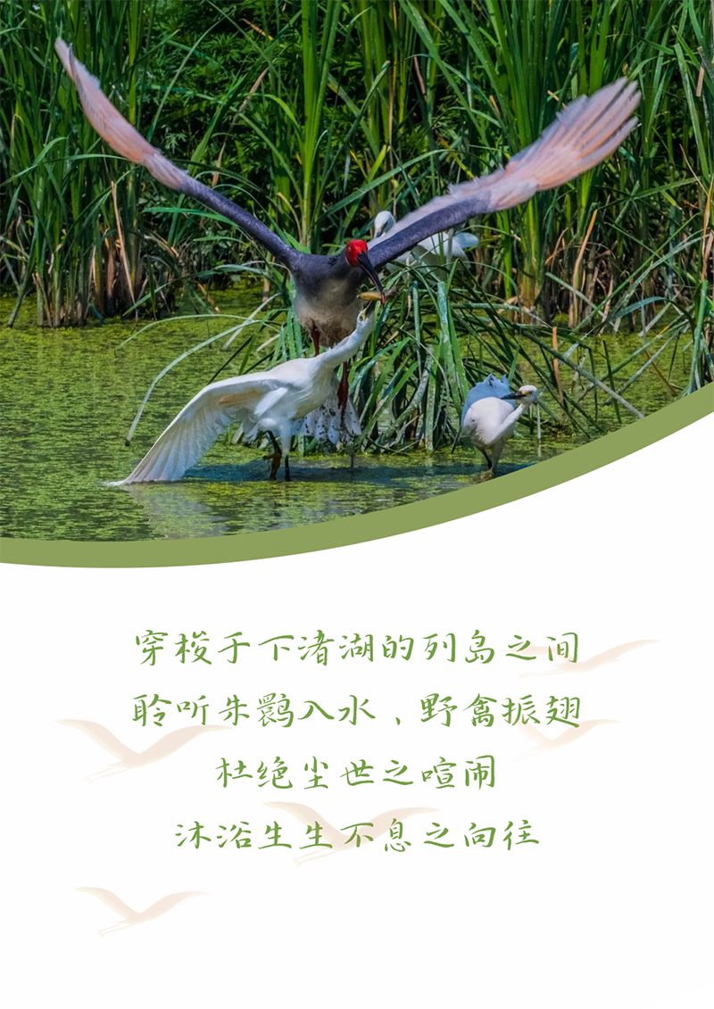 心心念廿 相伴AG刮刮樂 | 與德清相約 賀廿載誕辰
