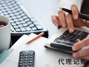 全面解析 專業(yè)的財(cái)稅咨詢服務(wù)如何助力企業(yè)發(fā)展